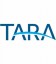 Tara Liners 14 X 28 Inground Vinyl Pool Liners 20 Mil